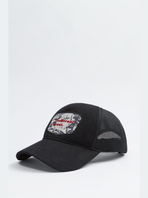 Contrasting Patch Cap