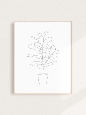 Fiddle Fig Art Print By Binge Studio