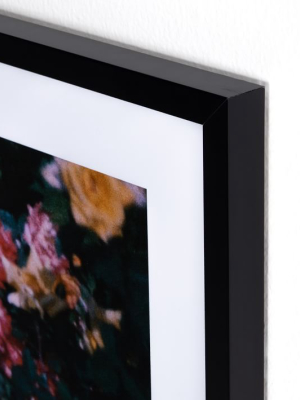 Framed Print - Blossom