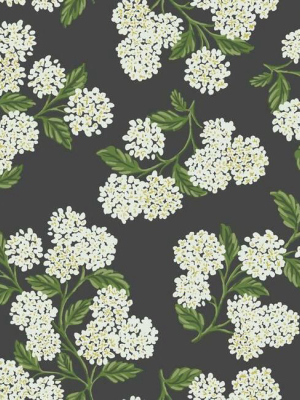 Hydrangea Wallpaper In Black And White From The Rifle Paper Co. Collection By York Wallcoverings