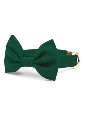 Evergreen Bow Tie Collar
