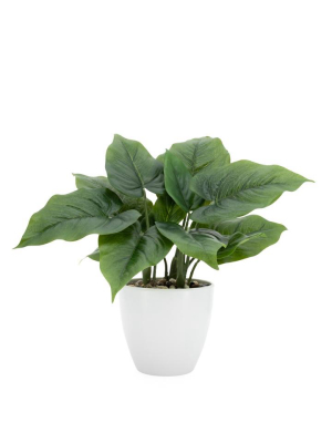 Villa Faux Potted 12" Plant - Calla Leaf