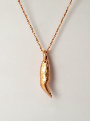 Bear Tooth Necklace Ghost (medium, Am+ama)