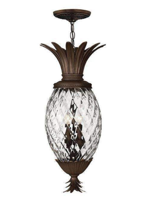 Outdoor Plantation Pendant