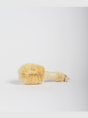 Skin Toning Dry Brush