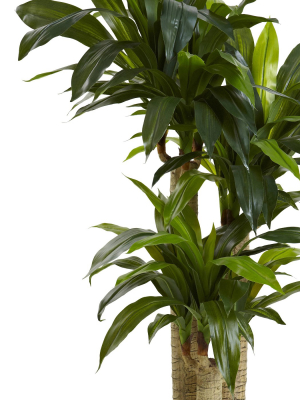 Nearly Natural 4.5' Cornstalk Dracaena Silk Plant With Vase (real Touch)