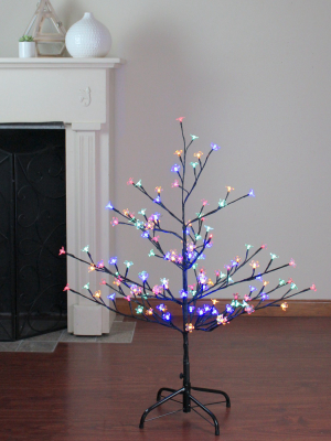 Northlight 4' Pre-lit Cherry Blossom Flower Artificial Tree - Multicolor Led Lights