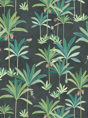 Monkey Palms Wallpaper In Charcoal By Bethany Linz For Milton & King