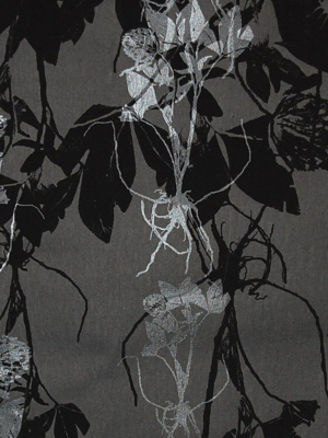 Sleeping Briar Rose Wallpaper In Noir Design By Jill Malek