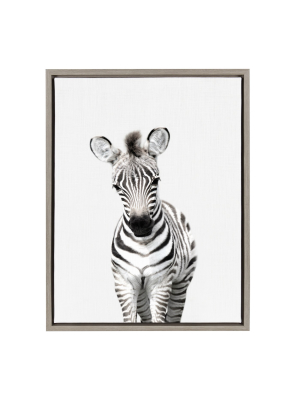 18" X 24" Sylvie Baby Zebra Framed Canvas By Amy Peterson Gray - Kate And Laurel