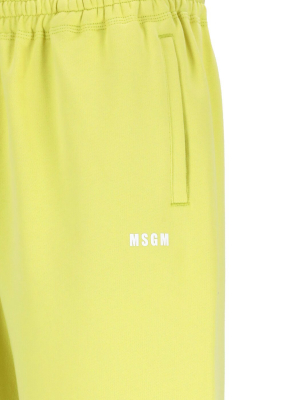 Msgm Logo Printed Shorts