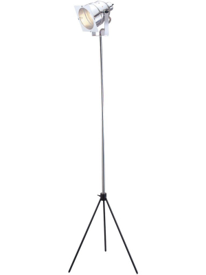 Spot Floor Lamp