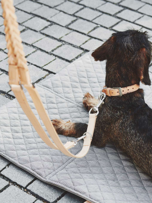 Bergamo Braided Long Dog Leash