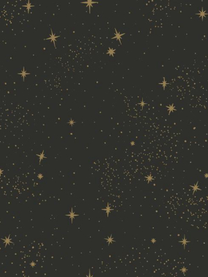 Sample Upon A Star Peel & Stick Wallpaper In Black And Grey By Roommates For York Wallcoverings