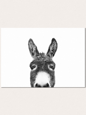 Peeking Donkey Bw