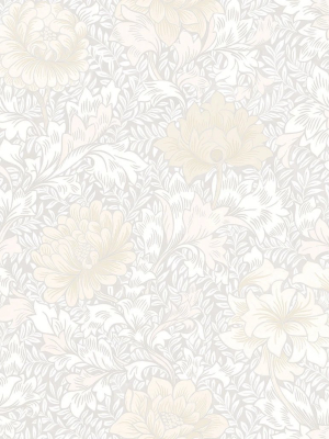 Morrissey Flower Wallpaper In Frost From The Sanctuary Collection By Mayflower Wallpaper