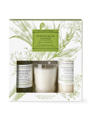 Williams Sonoma Lemongrass Ginger Guest Set