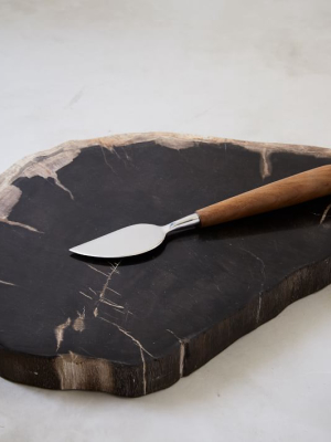 Petrified Wood Cheese Board