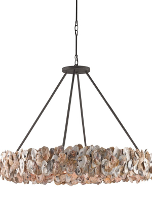 Oyster Chandelier