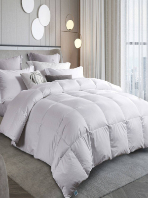 300 Thread Count Down Comforter - Martha Stewart