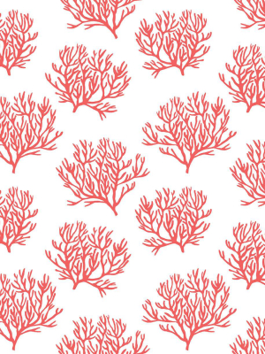 Coastal Coral Reef Peel-and-stick Wallpaper In Vermillion By Nextwall