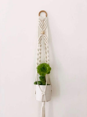 Small Macramé Plant Hanger