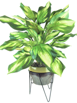 28" X 22" Artificial Hosta In Ceramic Pot With Stand - Lcg Florals