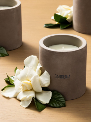 9.3oz Cement Candle Gardenia - Hearth & Hand™ With Magnolia