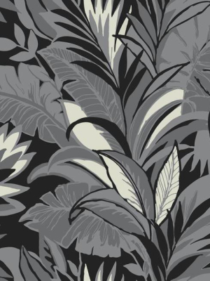 Palm Silhouette Wallpaper In Charcoal From The Conservatory Collection By York Wallcoverings