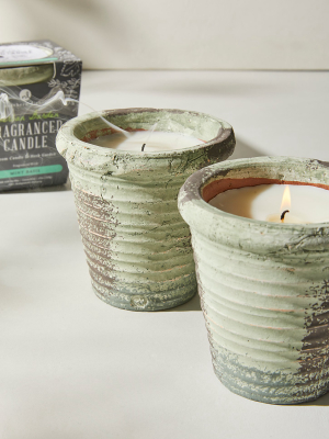 Northern Lights Herban Garden Collection Candles