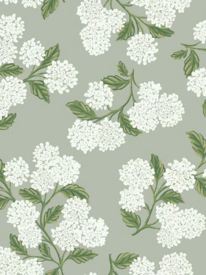 Hydrangea Wallpaper In Grey From The Rifle Paper Co. Collection By York Wallcoverings