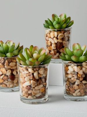 Faux Potted Mini Succulents