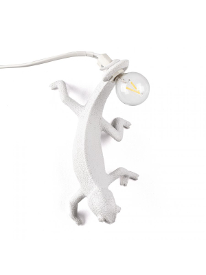 Chameleon Lamp Going Down