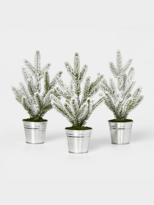 3pk Flocked Mini Tree In Galvanized Bucket Silver - Wondershop™