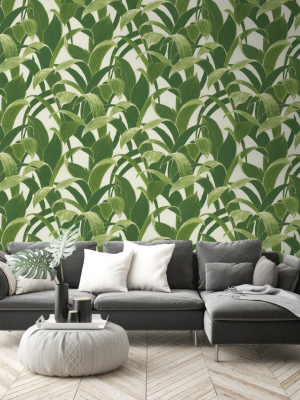 Banana Groves Peel-and-stick Wallpaper In Green By Nextwall