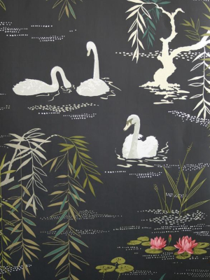 Swan Lake Wallpaper In Midnight By Nina Campbell For Osborne & Little