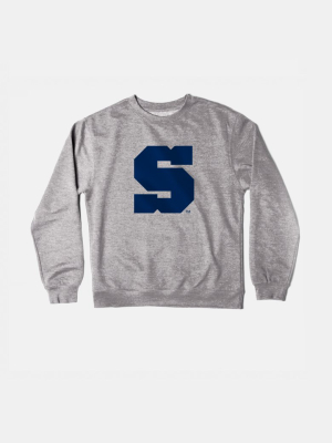 Penn State Vintage Crewneck Sweatshirt (gray)