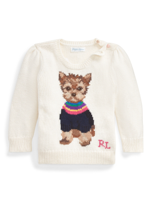 Dog Cotton-blend Sweater