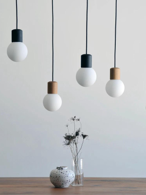 Catkin Led Pendant Light