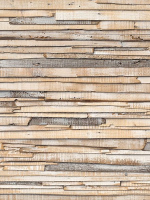 Whitewashed Wood Wall Mural Design By Komar For Brewster Home Fashions