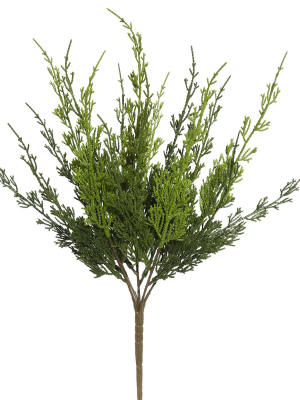 Vickerman 19" Artificial Green Monterey Cypress Bush.