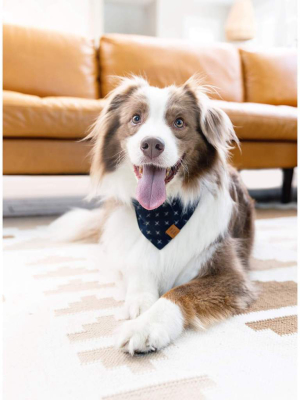 Indigo Crosses Dog Bandana