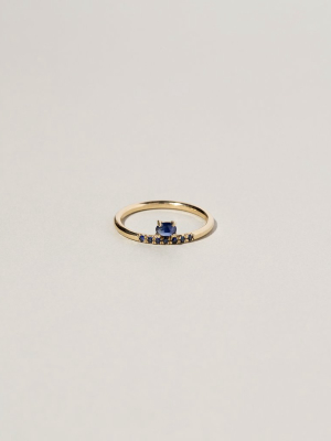 Sapphire & Black Diamond Stacked Ring