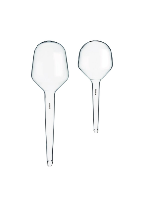 Plant Watering Globes (set Of 2)