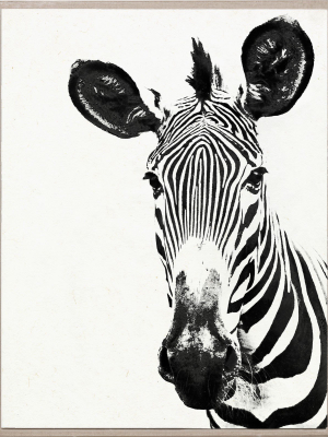 Tylinek Zebra Framed Artwork