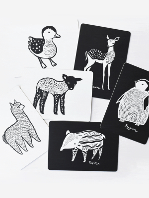 Art Cards For Baby - Baby Animals