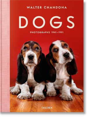 Walter Chandoha Dogs Photographs 1941–1991