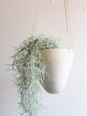 Kvl Cone Hanging Planter