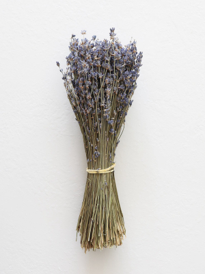 Dried Lavender Bundle In Purple Blue - 14-16" Tall