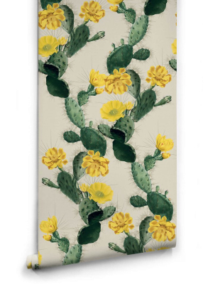 Cactus Wallpaper In Yellow Day From The Kingdom Home Collection By Milton & King